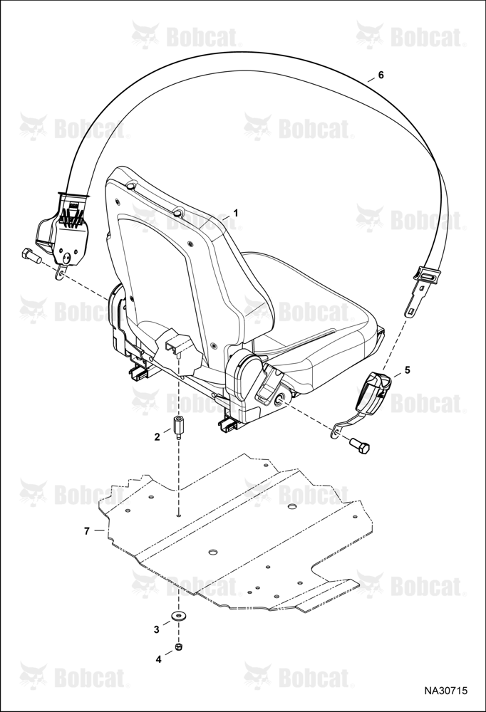 Seat & Seat Belt (Standard)