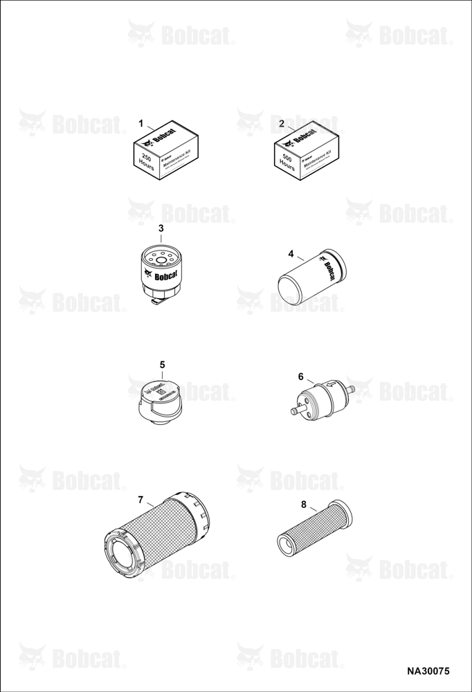Maintenance Items (Scheduled Maintenance)