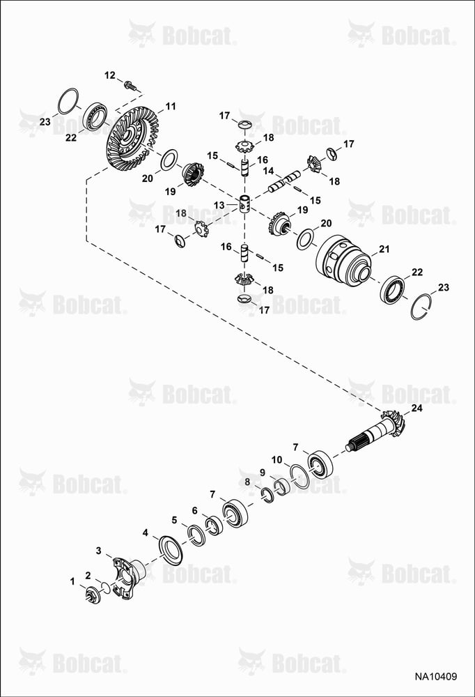 Rear Axle (Differential)
