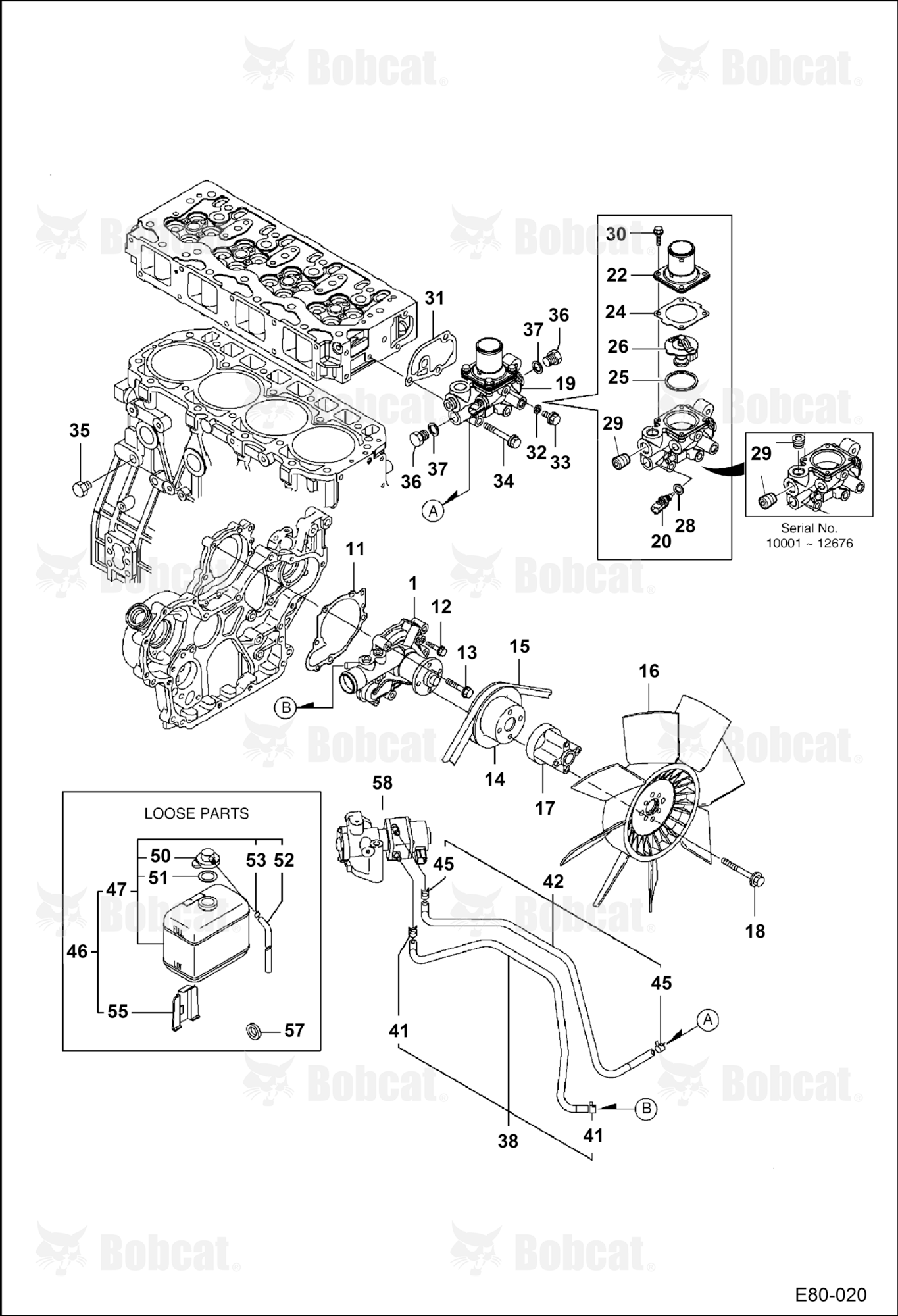 Water Pump & Thermostat