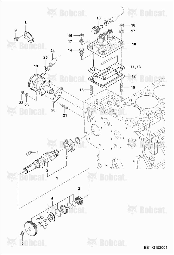 Fuel Injection System (Pump & Camshaft)
