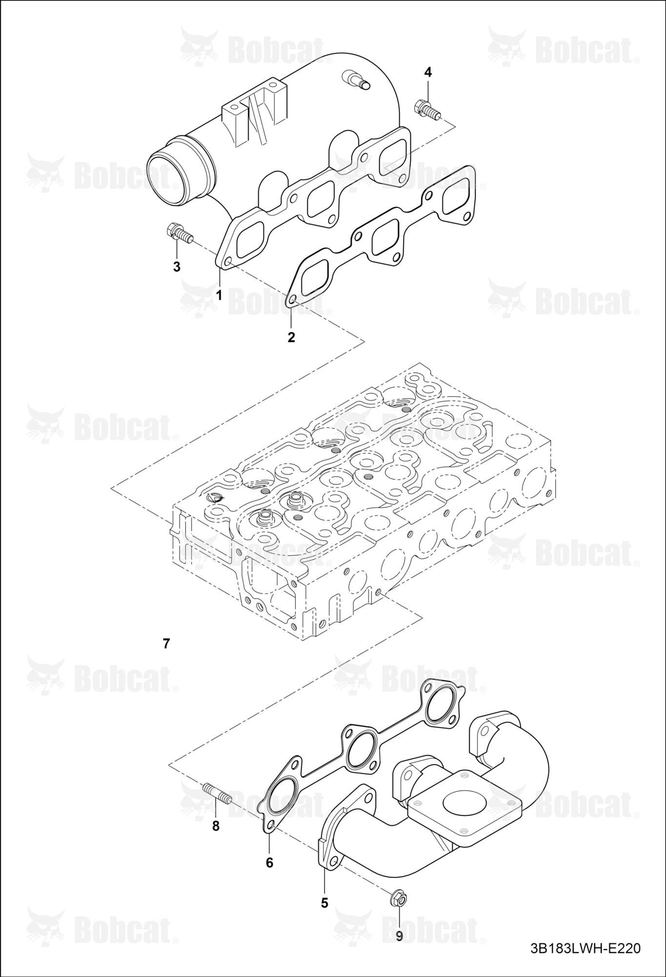 Manifolds