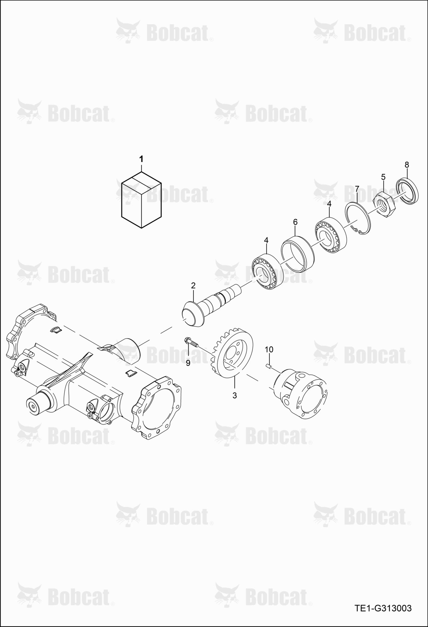 Bevel Pinion Shaft Group