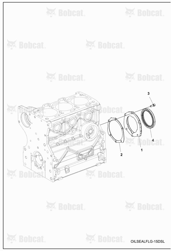 ENGINE, Crankshaft Oil Seal Flange