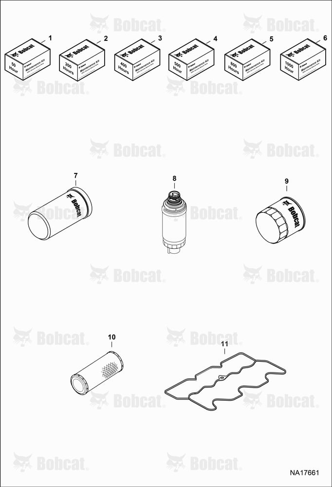Maintenance Items (Scheduled Maintenance)