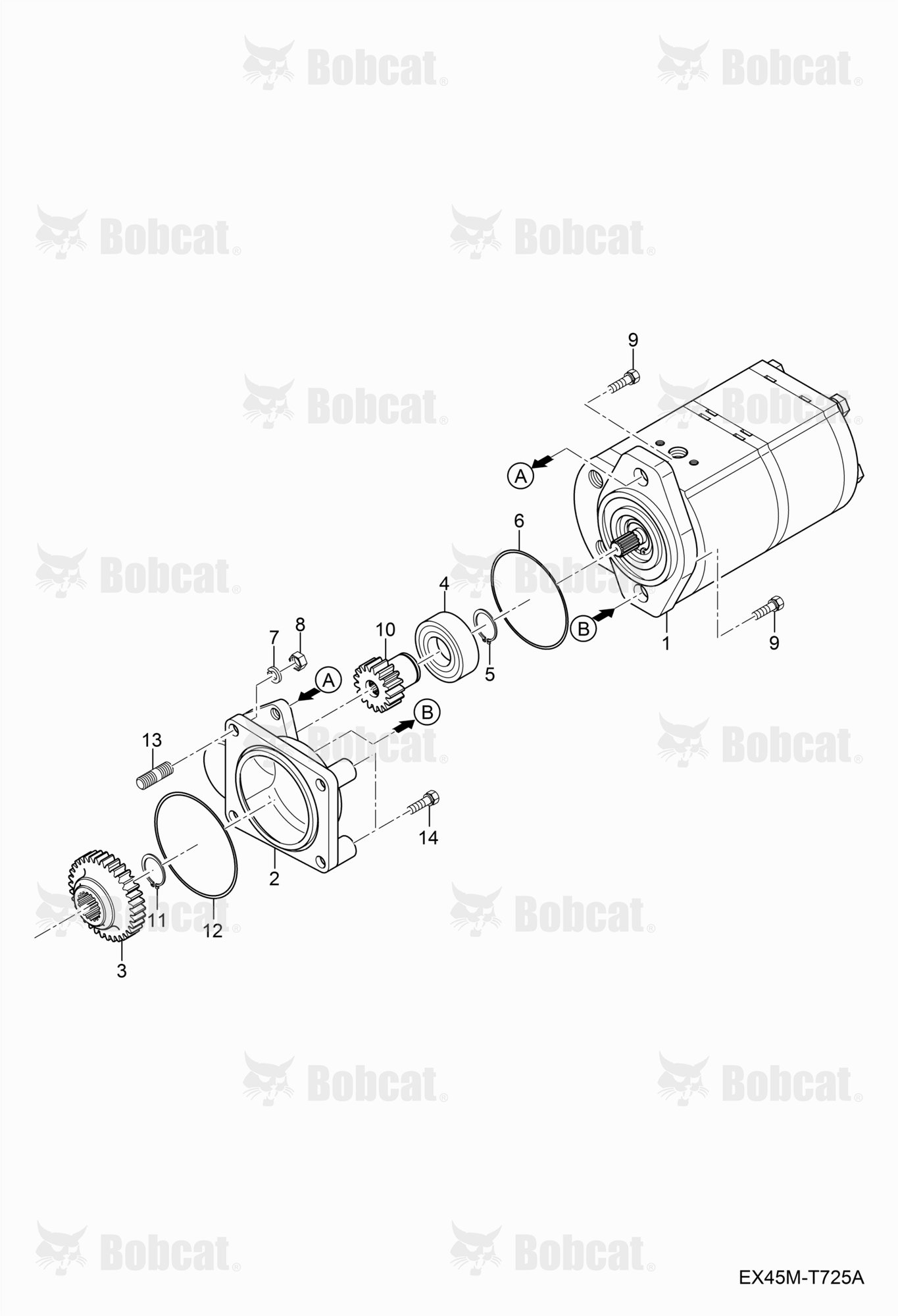 Gear Pump Group