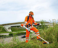 Thumbnail of STIHL FS 461 C-EM Z Brushcutter, AutoCut 46-2