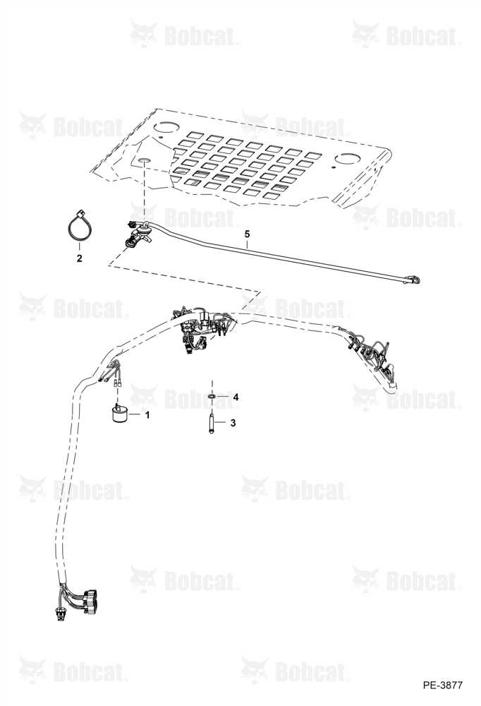 European Accessories (Turn Signal)
