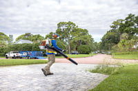 Thumbnail of STIHL BR 450 Backpack Blower Action