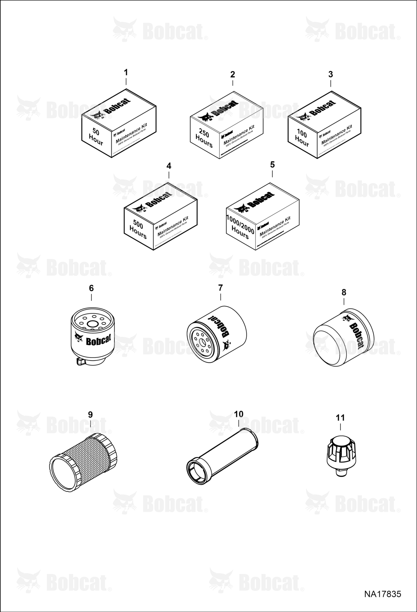 Maintenance Items (Scheduled Maintenance)