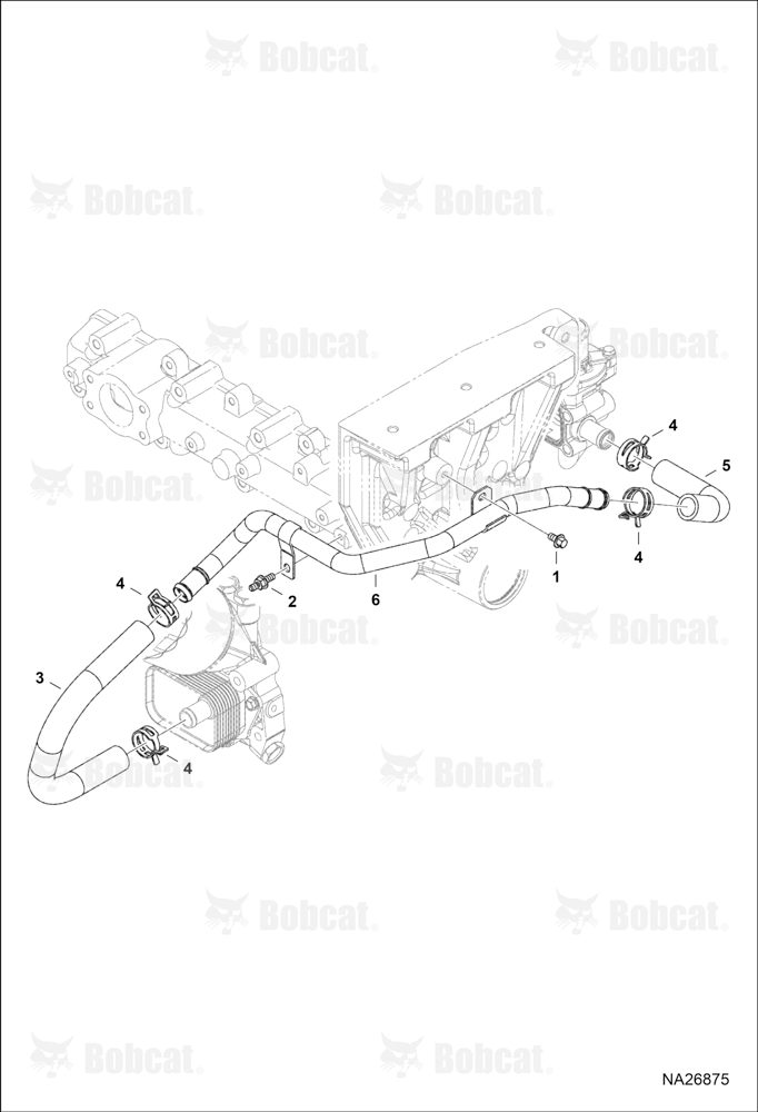 Oil Cooler & Filter (Cooling Water Pipe)