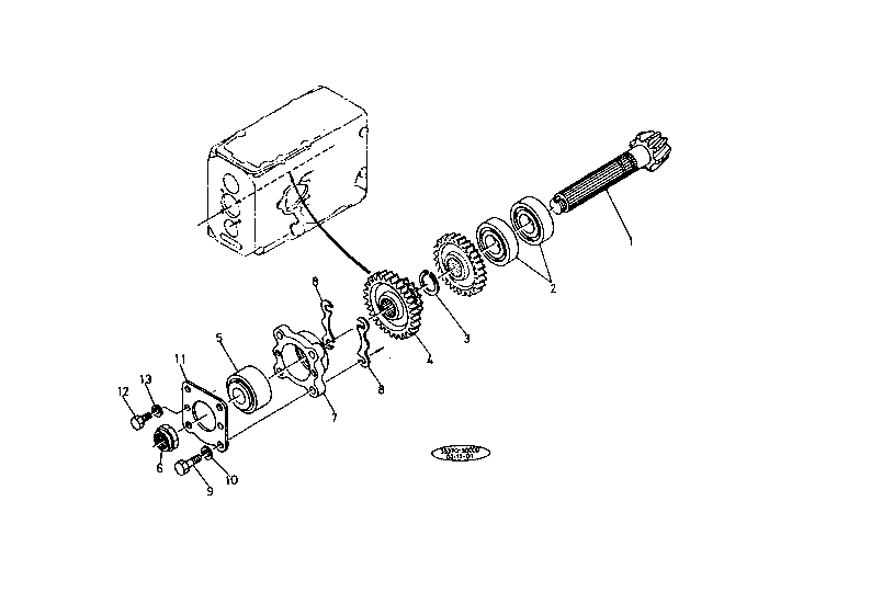 Spiral Bevel Pinion