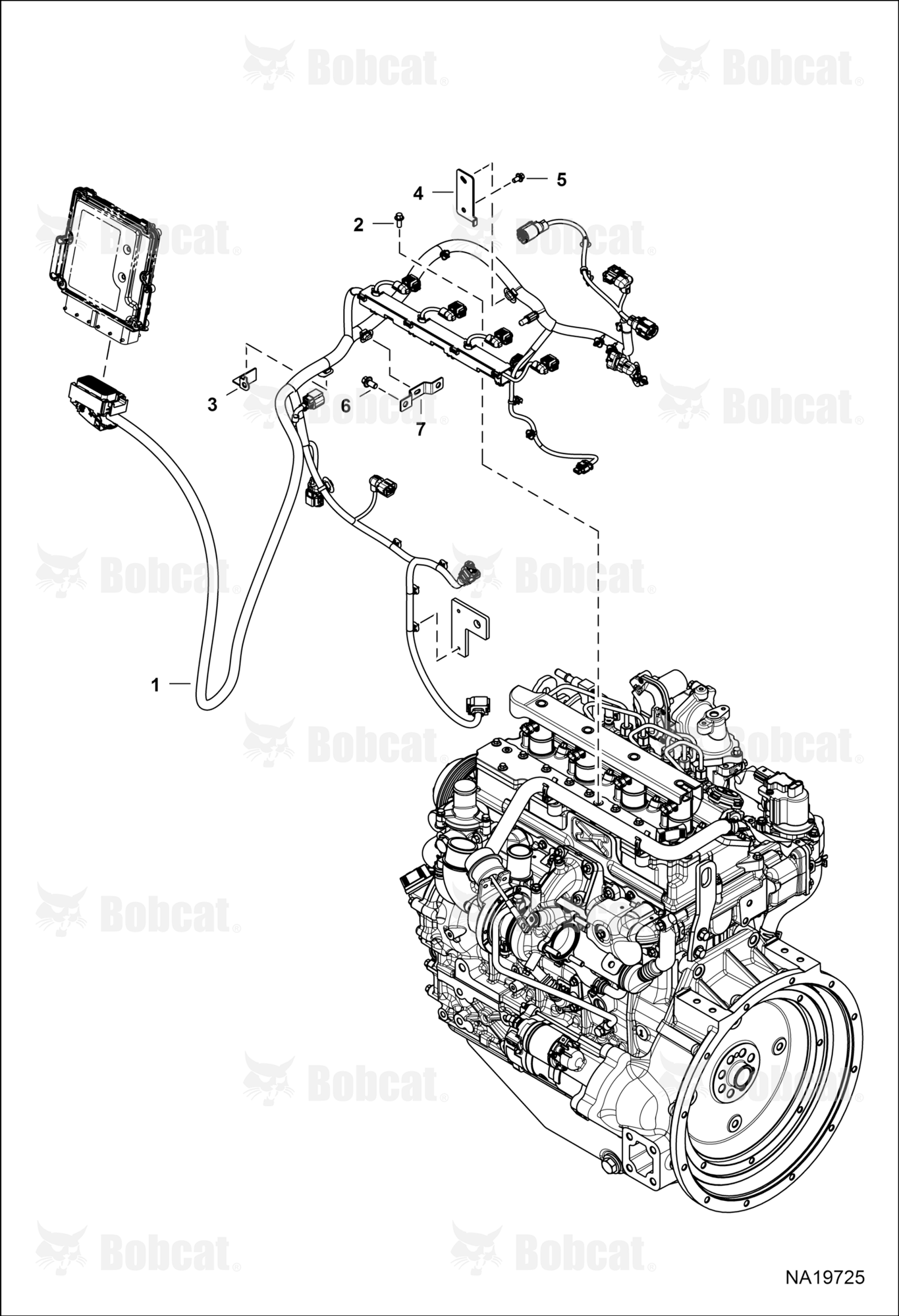 Engine Electrical Circuitry (Engine Harness)