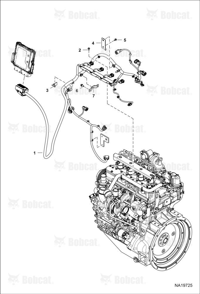 Engine Electrical Circuitry (Engine Harness)