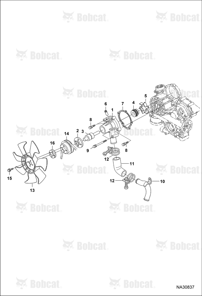 Water Pump
