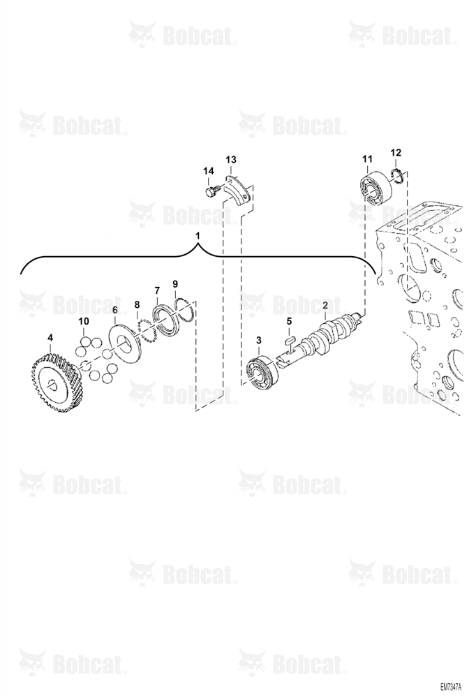 Fuel Camshaft and Governor Shaft