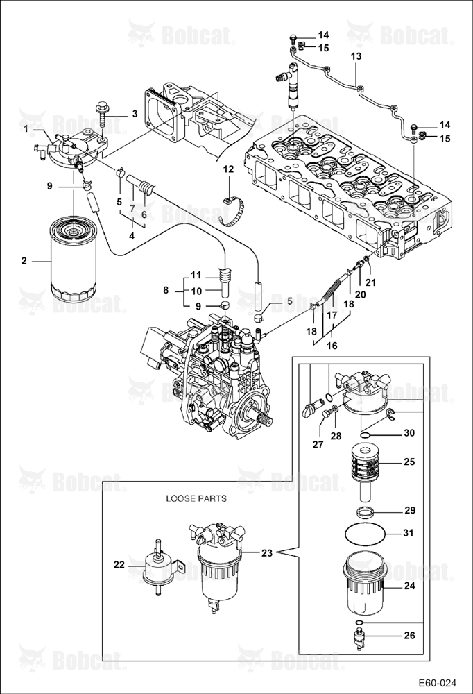 Fuel System (Pump & Filters)