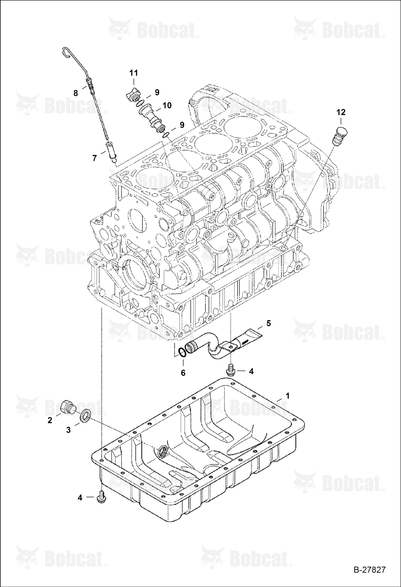 Oil Pan
