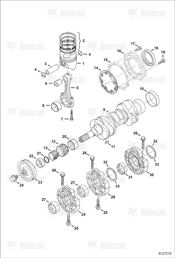 Piston & Crankshaft