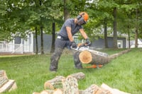 Thumbnail of STIHL MS 212 CBE Chainsaw Action