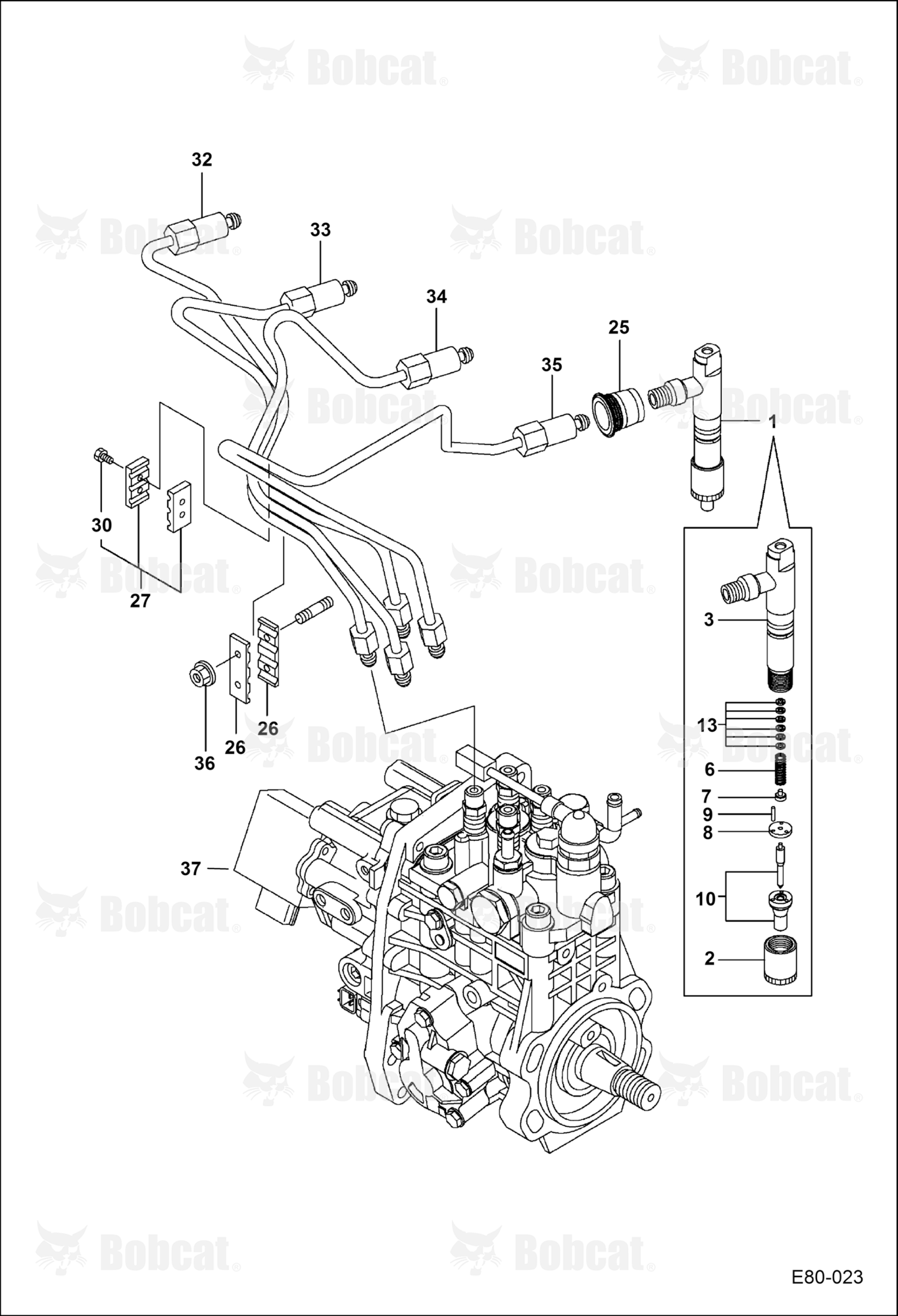 Fuel & Injection Pump & Nozzles