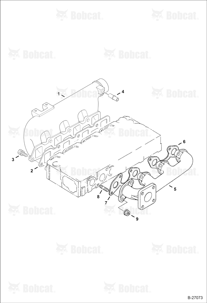 Manifolds