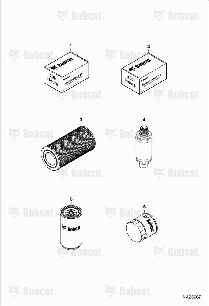 Maintenance Items (Scheduled Maintenance)