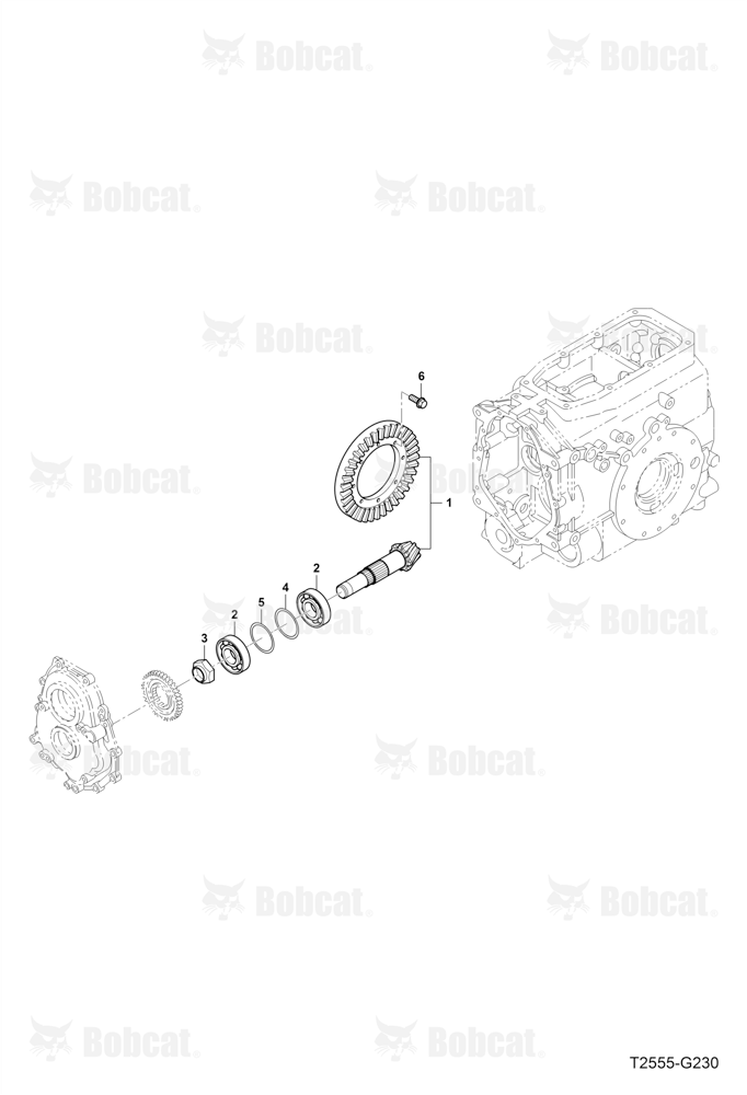 Bevel Pinoin Gear Group