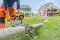 Thumbnail of STIHL MSA 160 CB Chainsaw Blade