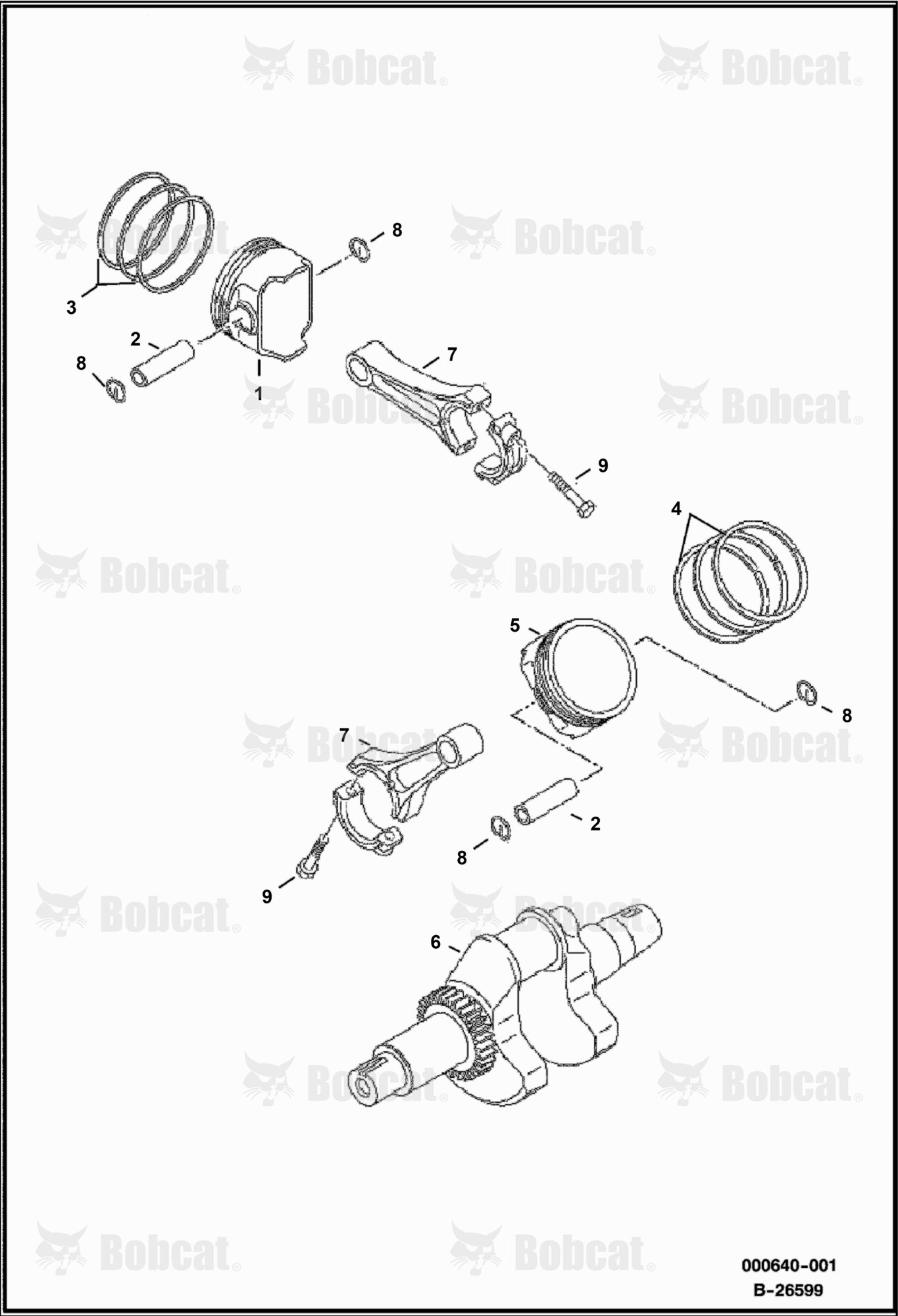 Pistons and Crankshaft (KAWASAKI ENGINE)