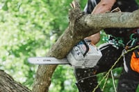 Thumbnail of STIHL MS 151 TC-E chainsaw