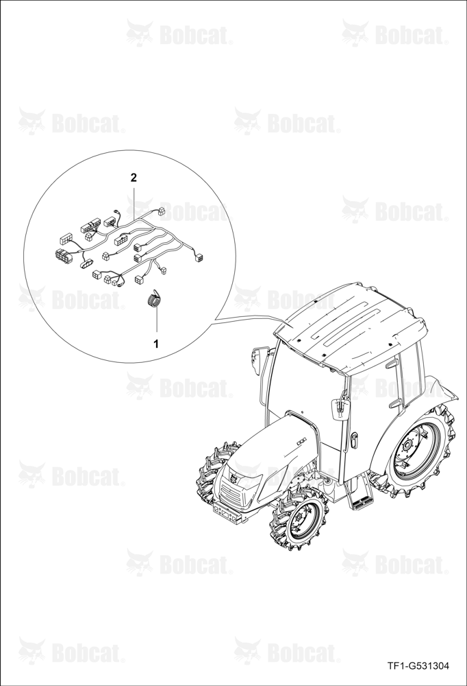 Cabin Wire Harness Group