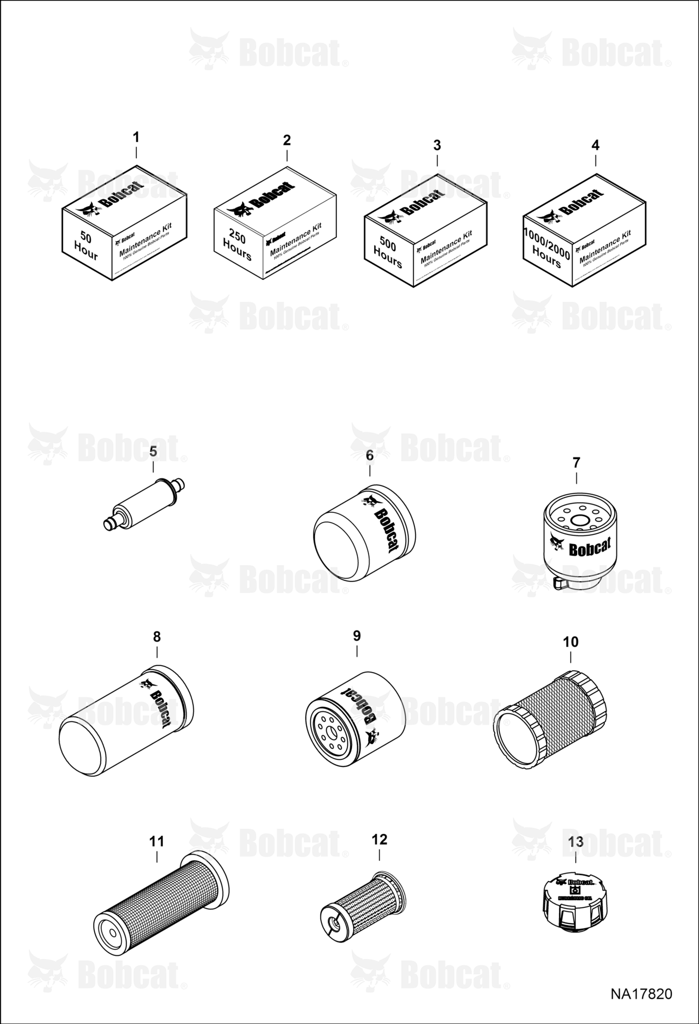 Maintenance Items (Scheduled Maintenance)