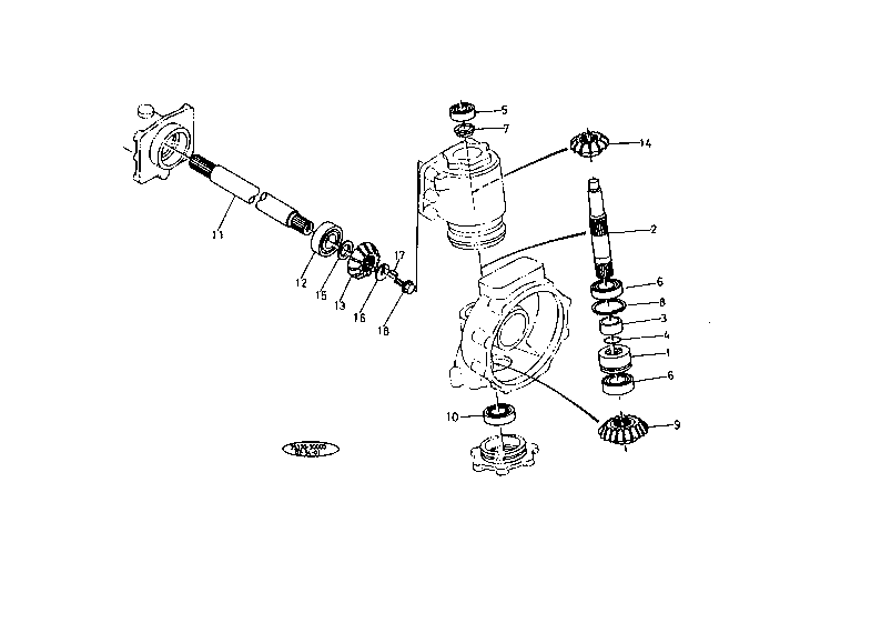 Bevel Gear Shaft