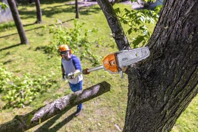 STIHL HTA 86 Cordless Pole Pruner Action