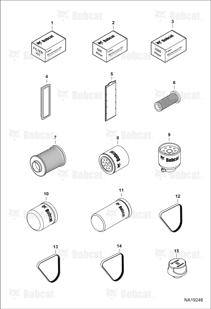 Maintenance Items (Scheduled Maintenance)