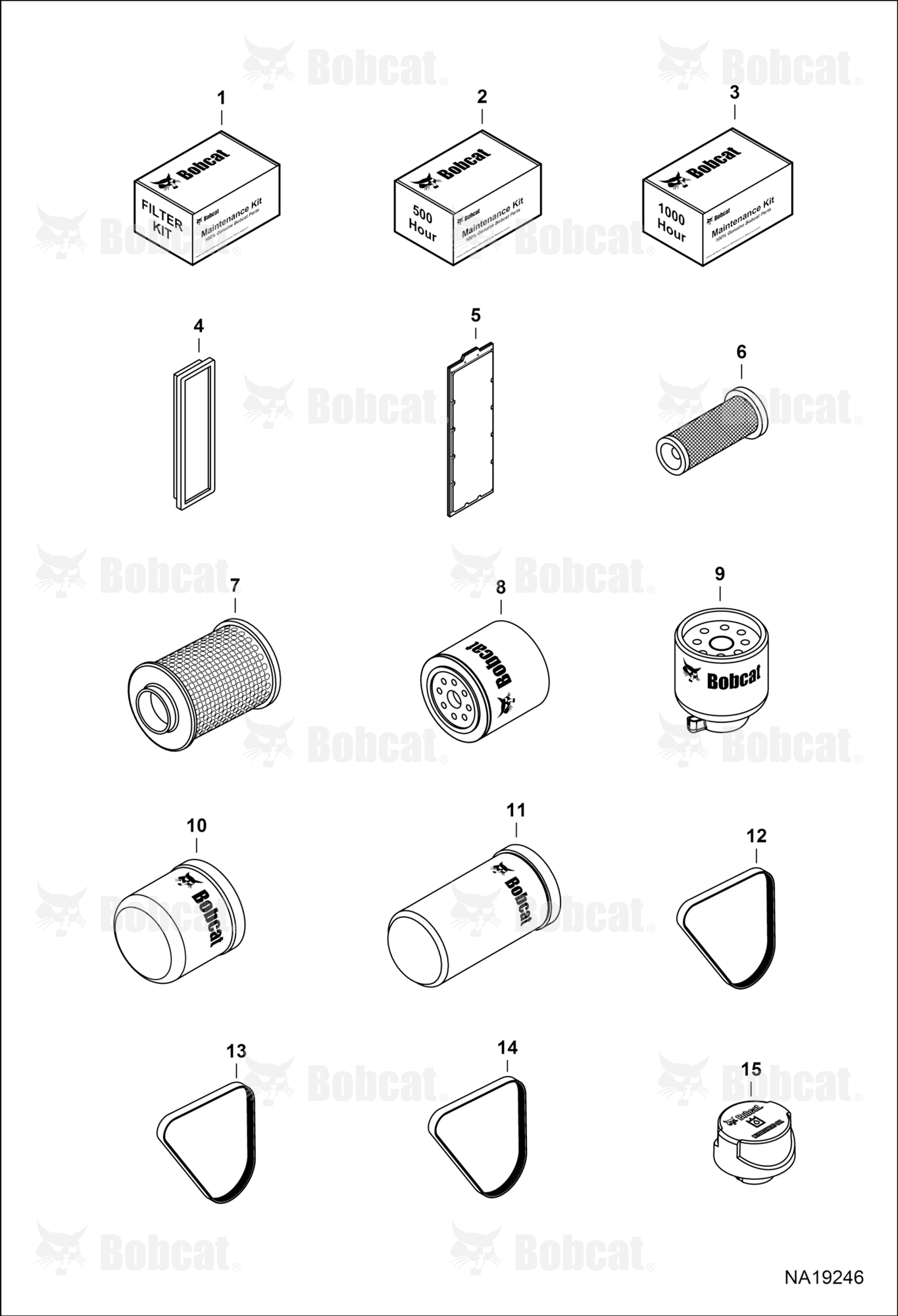 Maintenance Items (Scheduled Maintenance)