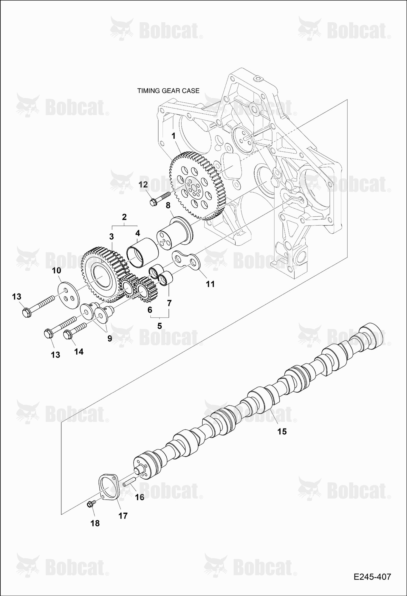 Camshaft Drive