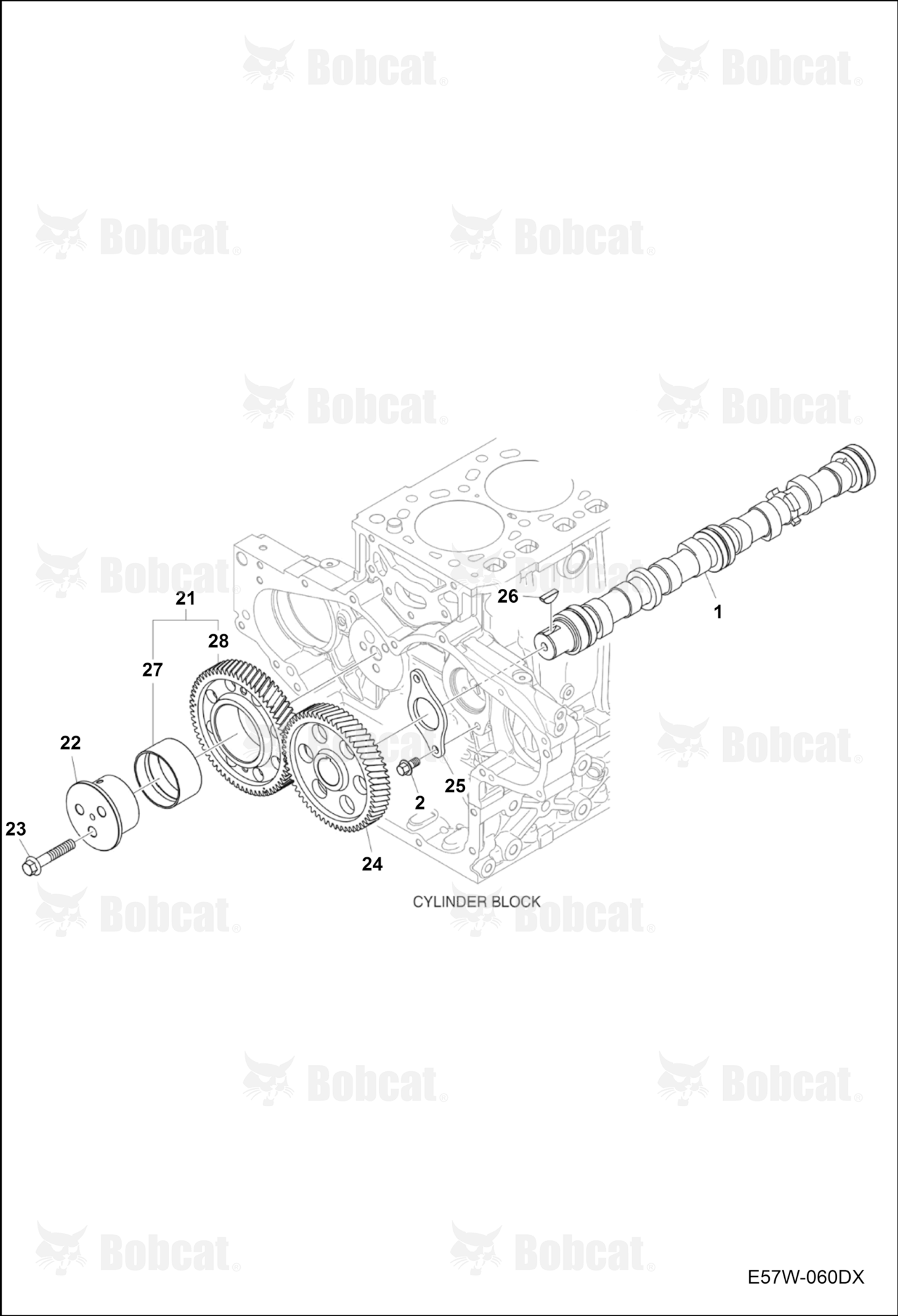 CAM Shaft & Driving Gear