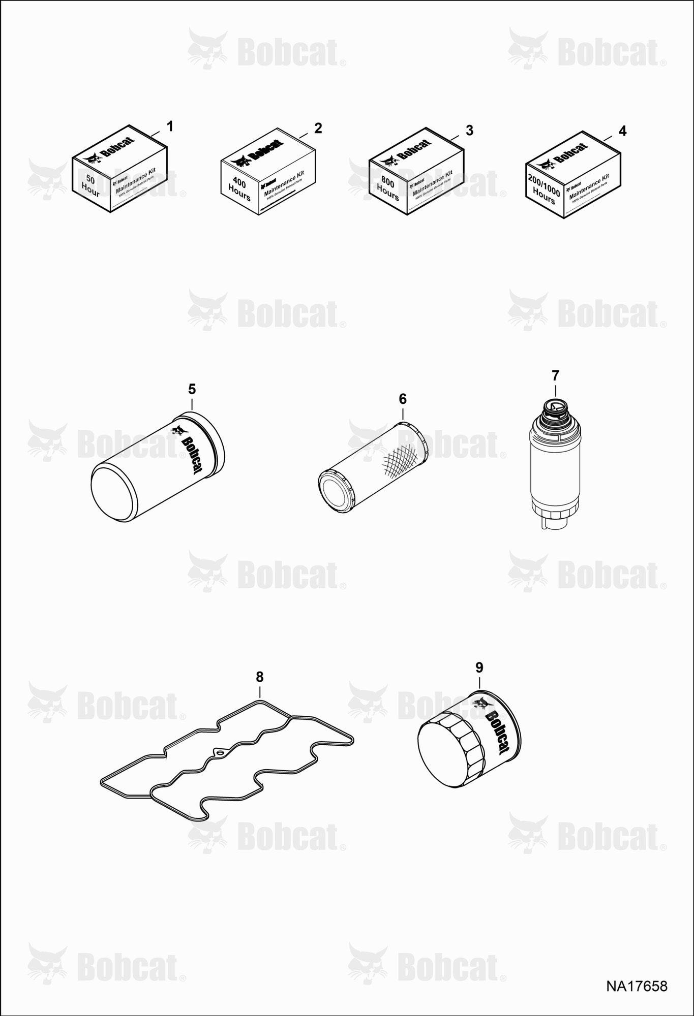 Maintenance Items (Scheduled Maintenance)
