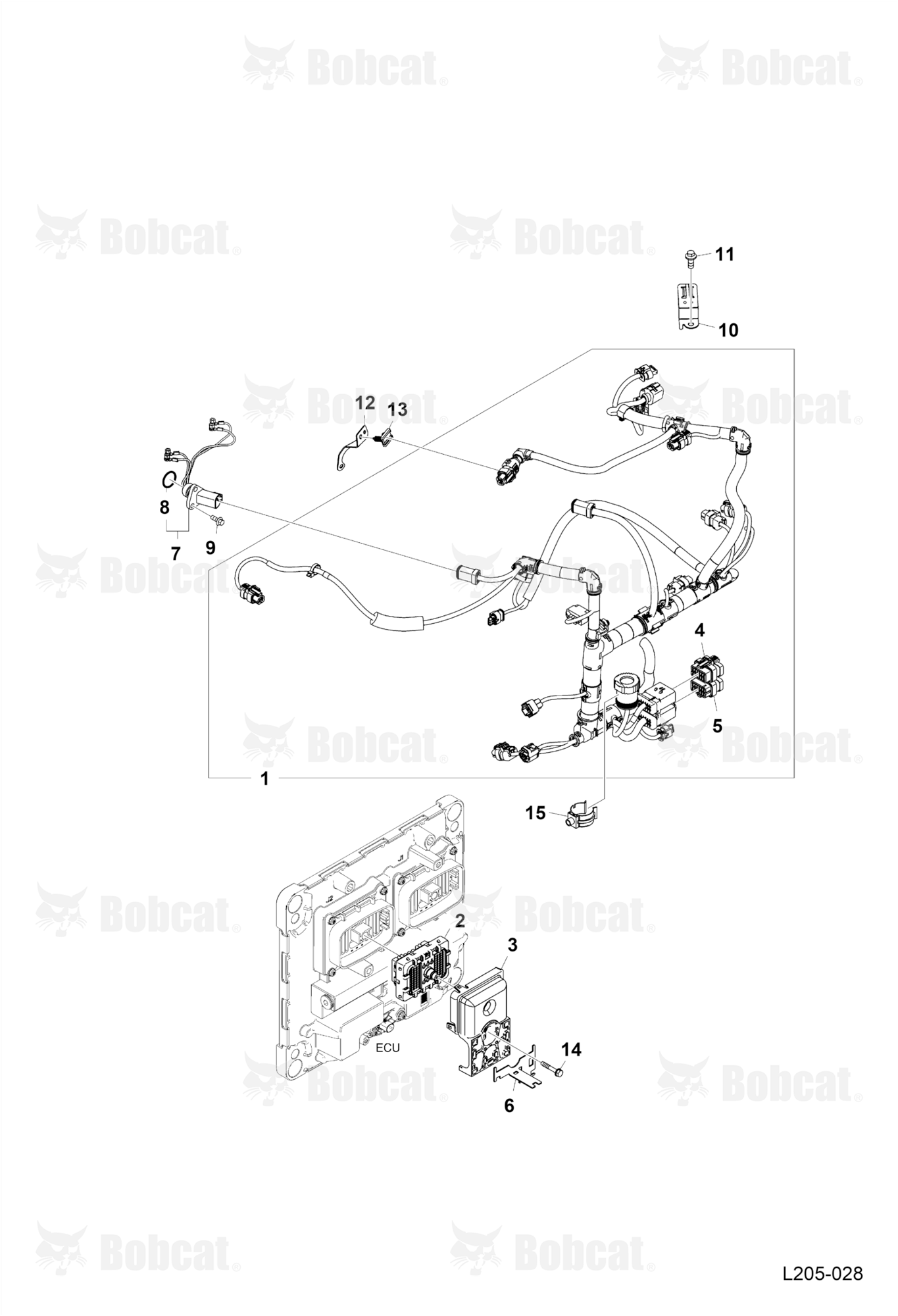 Wiring Harness