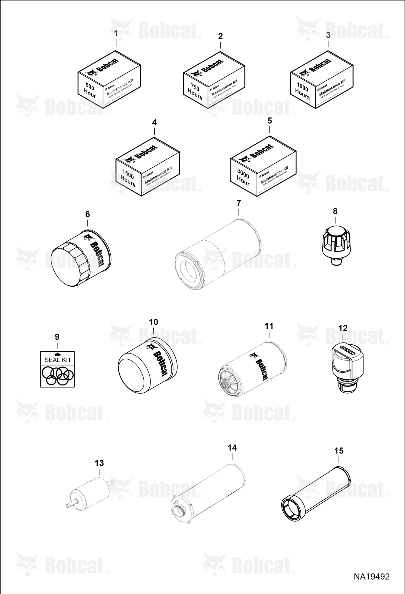 Maintenance Items (Scheduled Maintenance)