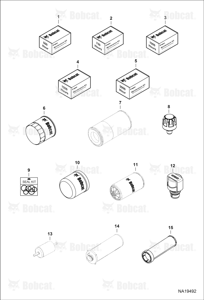 Maintenance Items (Scheduled Maintenance)