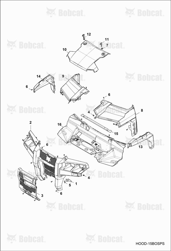 BODY, Hood & Front Fascia