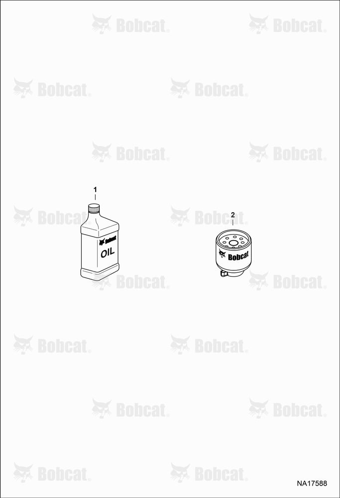 Scheduled Maintenance Items (Every 100 Hours)