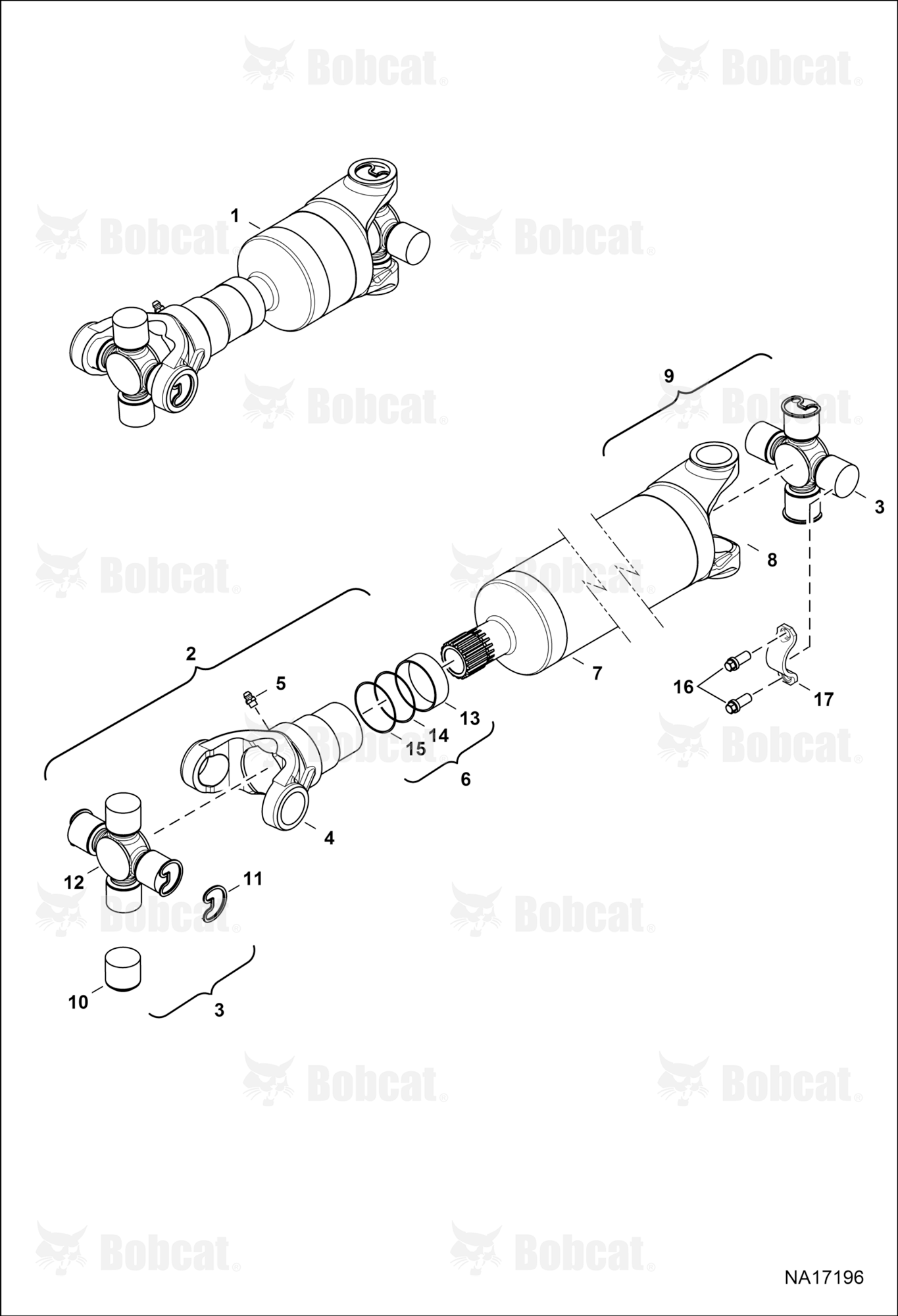 Drive Shaft