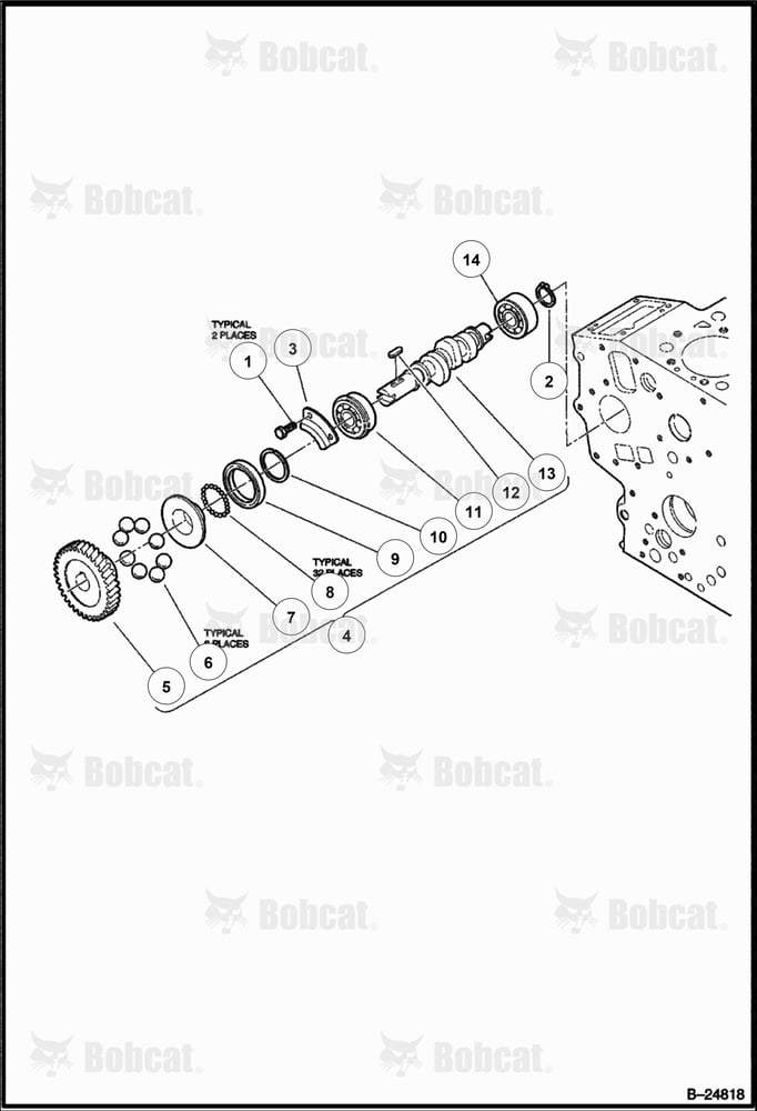Fuel Camshaft (Diesel)