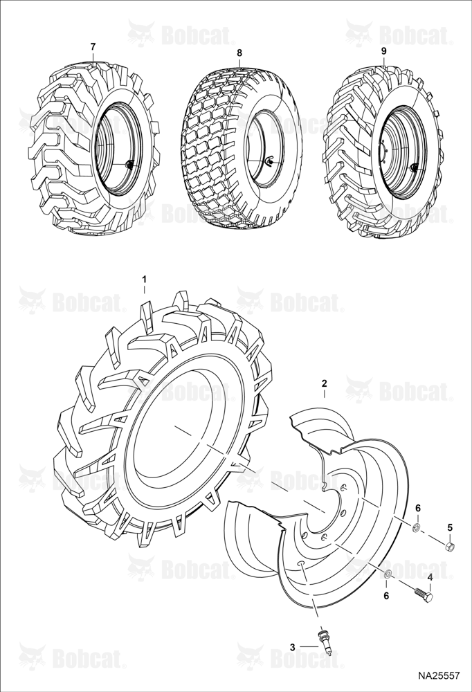 Tires & Rims (Rear)