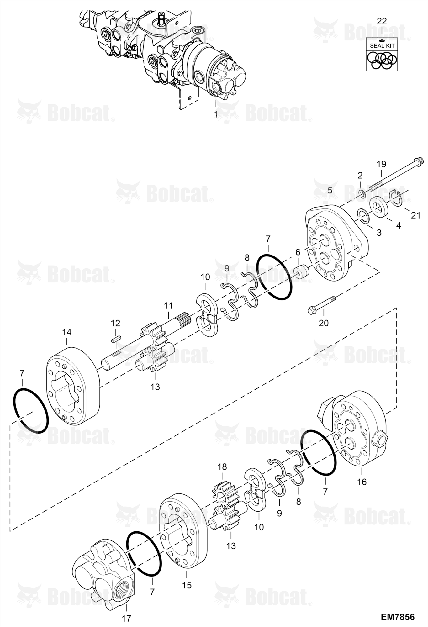Gear Pump