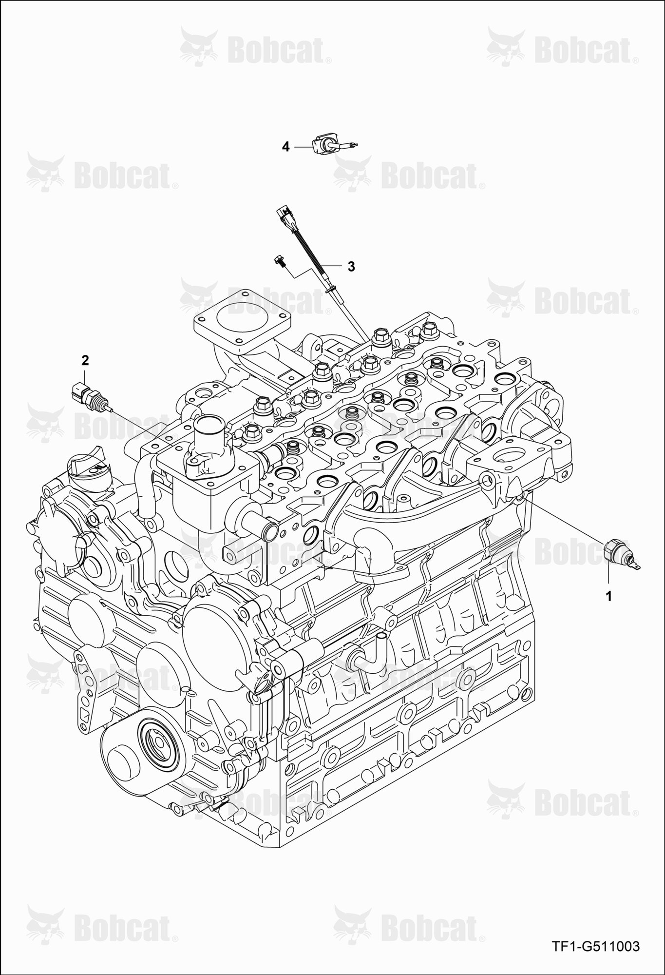 Engine Electrical Group (Temperature, Oil Sensor)